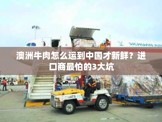 澳洲牛肉怎么运到中国才新鲜？进口商最怕的3大坑