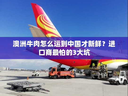 澳洲牛肉怎么运到中国才新鲜？进口商最怕的3大坑