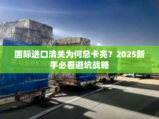 国际进口清关为何总卡壳?2025新手必看避坑战略 国际进口清关为何总卡壳?2025新手必看避坑战略