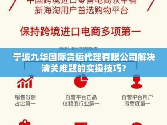 宁波九华国际货运代理有限公司解决清关难题的实操技巧? 宁波九华国际货运代理有限公司解决清关难题的实操技巧?