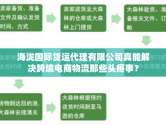 海泷国际货运代理有限公司真能解决跨境电商物流那些头疼事? 海泷国际货运代理有限公司真能解决跨境电商物流那些头疼事?