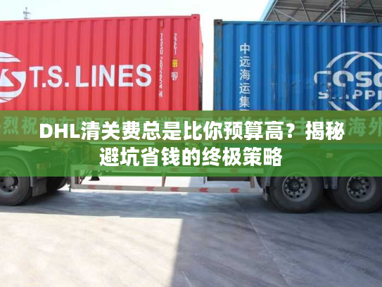 DHL清关费总是比你预算高？揭秘避坑省钱的终极策略