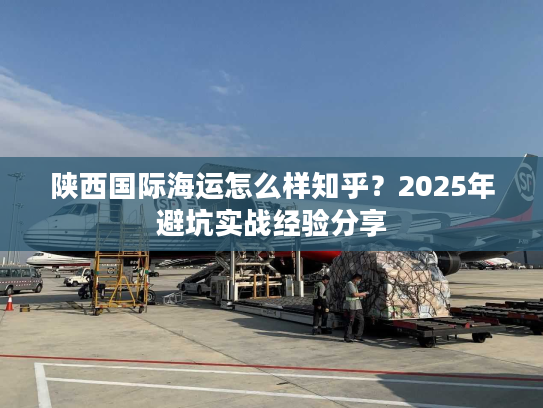 陕西国际海运怎么样知乎？2025年避坑实战经验分享