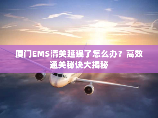 厦门EMS清关延误了怎么办？高效通关秘诀大揭秘