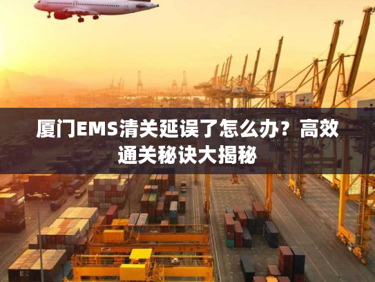 厦门EMS清关延误了怎么办？高效通关秘诀大揭秘