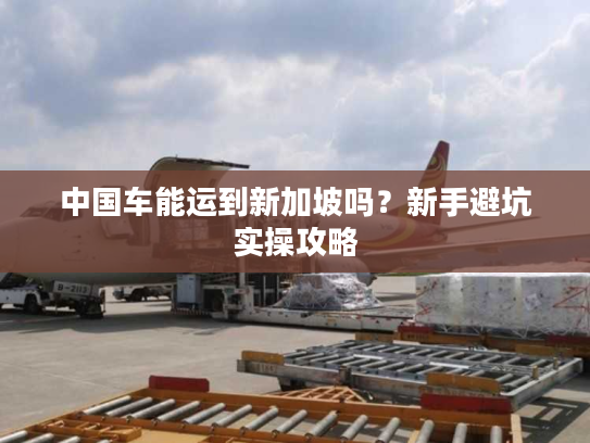 中国车能运到新加坡吗？新手避坑实操攻略