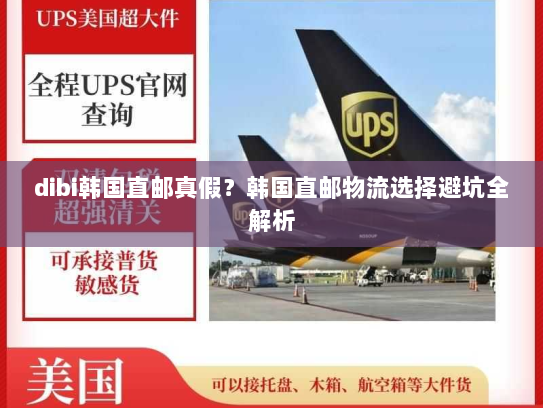 dibi韩国直邮真假?韩国直邮物流选择避坑全解析 dibi韩国直邮真假?韩国直邮物流选择避坑全解析
