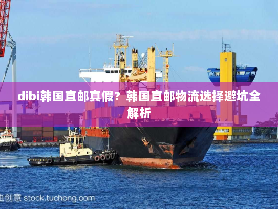 dibi韩国直邮真假?韩国直邮物流选择避坑全解析 dibi韩国直邮真假?韩国直邮物流选择避坑全解析