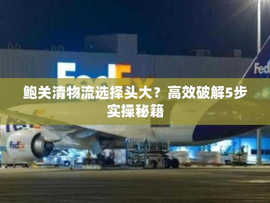 鲍关清物流选择头大?高效破解5步实操秘籍 鲍关清物流选择头大?高效破解5步实操秘籍