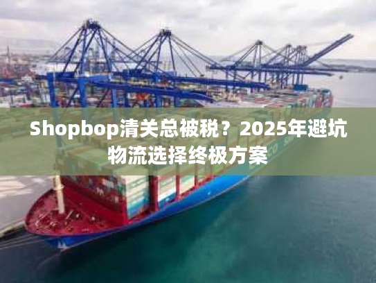 Shopbop清关总被税？2025年避坑物流选择终极方案