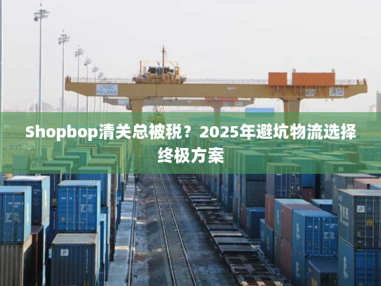 Shopbop清关总被税？2025年避坑物流选择终极方案