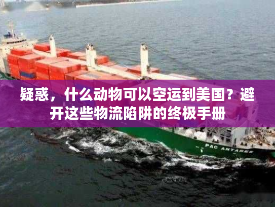 疑惑，什么动物可以空运到美国？避开这些物流陷阱的终极手册