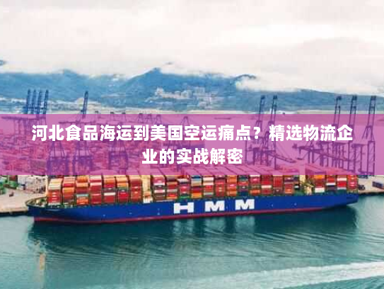河北食品海运到美国空运痛点？精选物流企业的实战解密