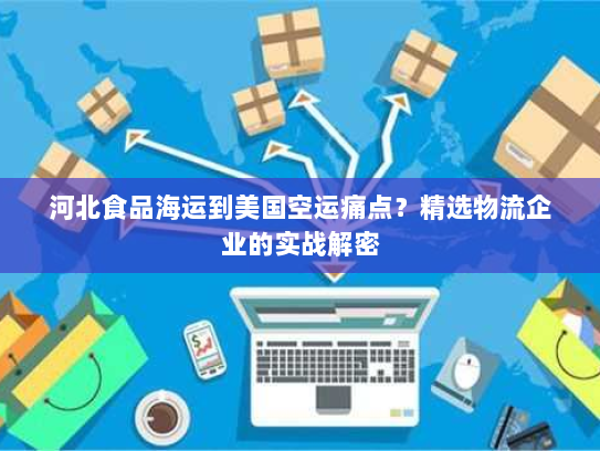 河北食品海运到美国空运痛点？精选物流企业的实战解密