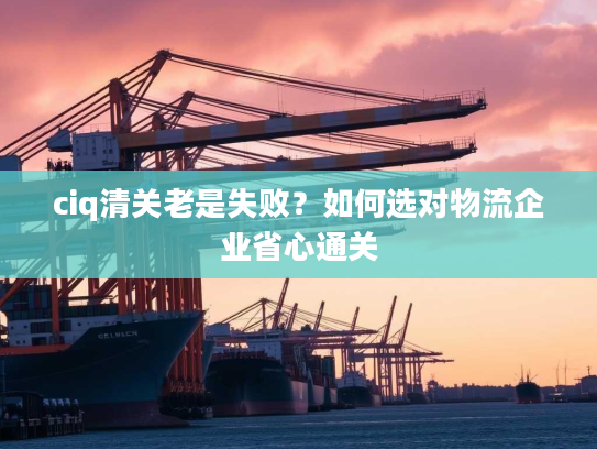 ciq清关老是失败？如何选对物流企业省心通关