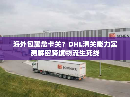 海外包裹总卡关？DHL清关能力实测解密跨境物流生死线