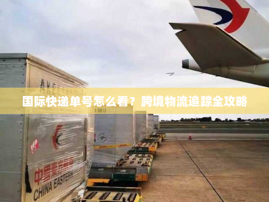 国际快递单号怎么看？跨境物流追踪全攻略