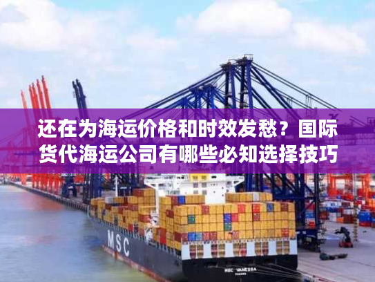 还在为海运价格和时效发愁？国际货代海运公司有哪些必知选择技巧