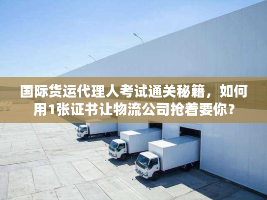 国际货运代理人考试通关秘籍,如何用1张证书让物流公司抢着要你? 国际货运代理人考试通关秘籍,如何用1张证书让物流公司抢着要你?