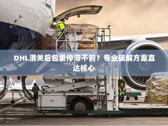 DHL清关后包裹停滞不前？专业破解方案直达核心