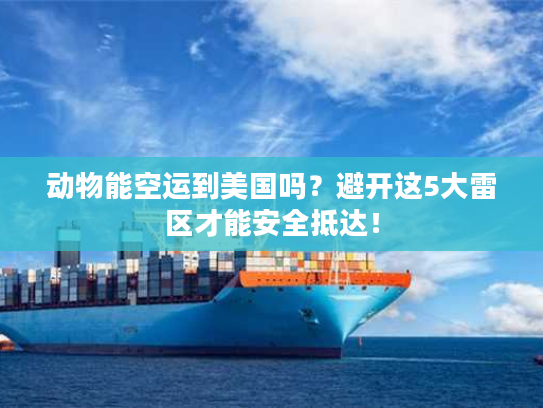 动物能空运到美国吗？避开这5大雷区才能安全抵达！