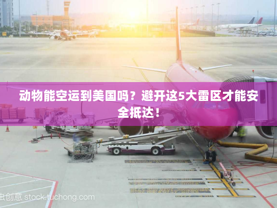 动物能空运到美国吗?避开这5大雷区才能安全抵达! 动物能空运到美国吗?避开这5大雷区才能安全抵达!