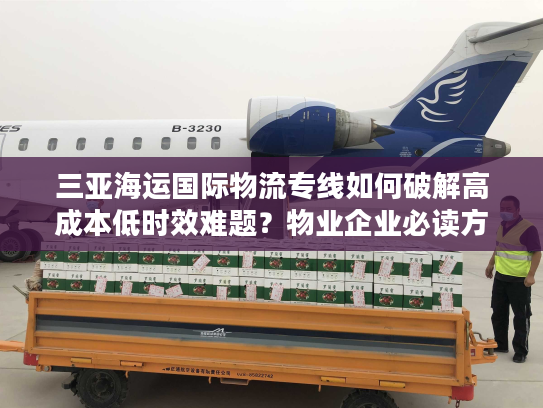 三亚海运国际物流专线如何破解高成本低时效难题？物业企业必读方案