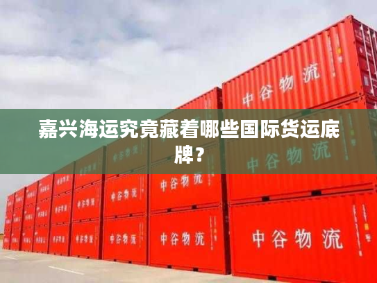 嘉兴海运究竟藏着哪些国际货运底牌? 嘉兴海运究竟藏着哪些国际货运底牌?