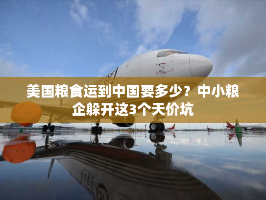 美国粮食运到中国要多少？中小粮企躲开这3个天价坑
