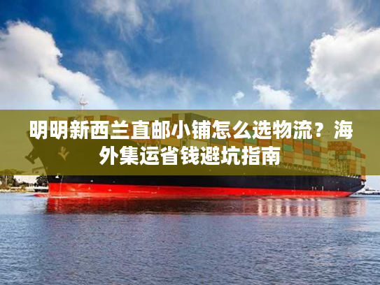 明明新西兰直邮小铺怎么选物流？海外集运省钱避坑指南