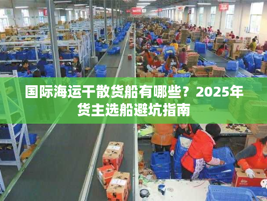 国际海运干散货船有哪些？2025年货主选船避坑指南