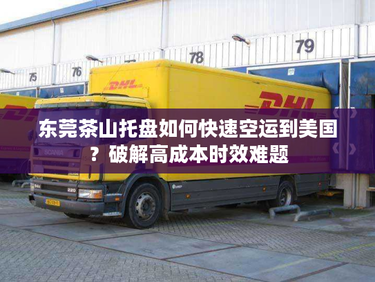 东莞茶山托盘如何快速空运到美国？破解高成本时效难题