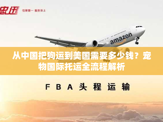 从中国把狗运到美国需要多少钱？宠物国际托运全流程解析