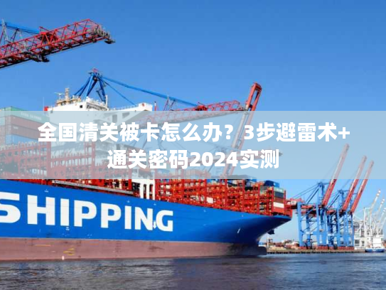 全国清关被卡怎么办？3步避雷术+通关密码2024实测