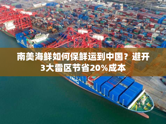 南美海鲜如何保鲜运到中国？避开3大雷区节省20%成本