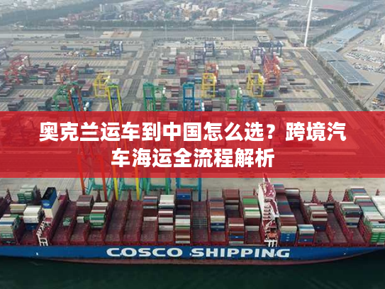 奥克兰运车到中国怎么选?跨境汽车海运全流程解析 奥克兰运车到中国怎么选?跨境汽车海运全流程解析
