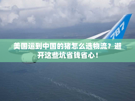 美国运到中国的猪怎么选物流?避开这些坑省钱省心! 美国运到中国的猪怎么选物流?避开这些坑省钱省心!