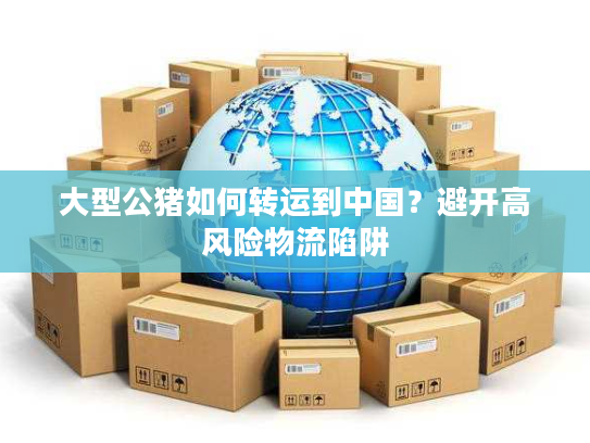 大型公猪如何转运到中国？避开高风险物流陷阱