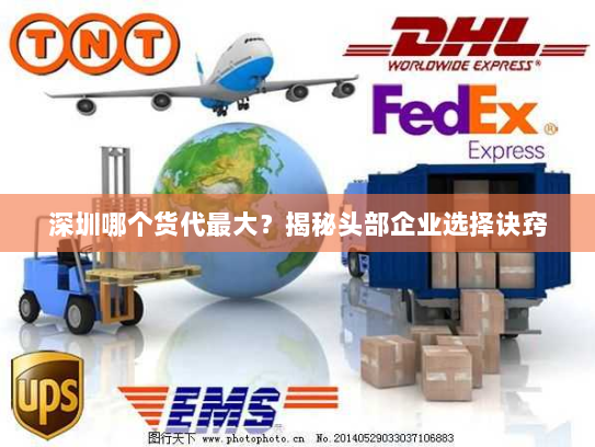 深圳哪个货代最大？揭秘头部企业选择诀窍