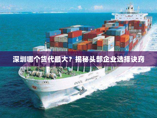 深圳哪个货代最大？揭秘头部企业选择诀窍