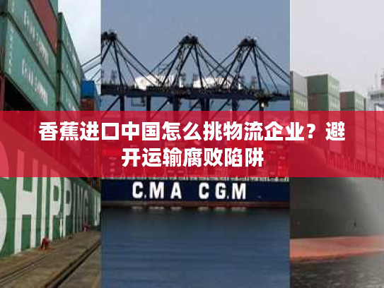 香蕉进口中国怎么挑物流企业?避开运输腐败陷阱 香蕉进口中国怎么挑物流企业?避开运输腐败陷阱