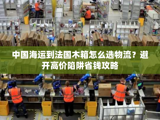 中国海运到法国木箱怎么选物流？避开高价陷阱省钱攻略