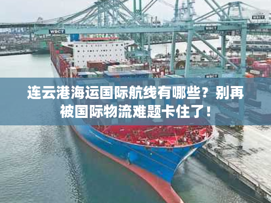 连云港海运国际航线有哪些？别再被国际物流难题卡住了！