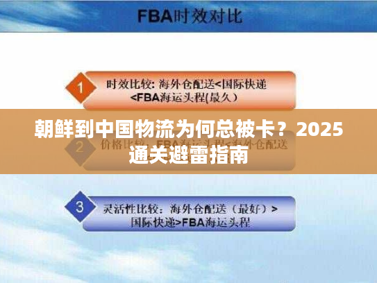 朝鲜到中国物流为何总被卡？2025通关避雷指南