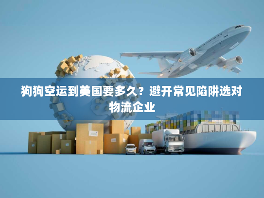 狗狗空运到美国要多久？避开常见陷阱选对物流企业