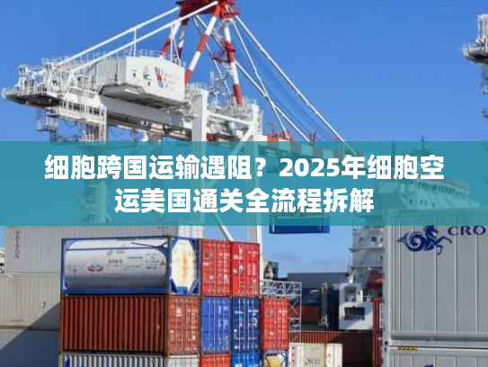 细胞跨国运输遇阻？2025年细胞空运美国通关全流程拆解