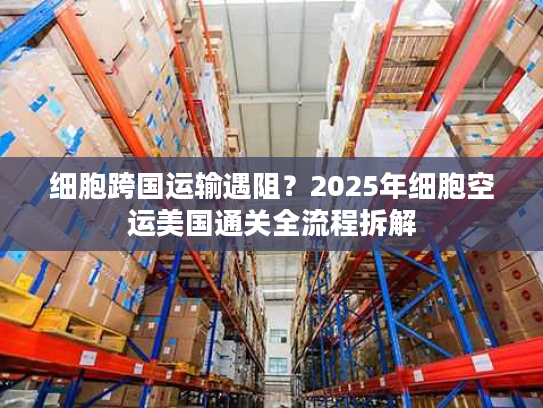 细胞跨国运输遇阻？2025年细胞空运美国通关全流程拆解