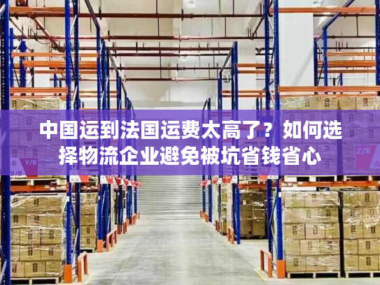 中国运到法国运费太高了？如何选择物流企业避免被坑省钱省心