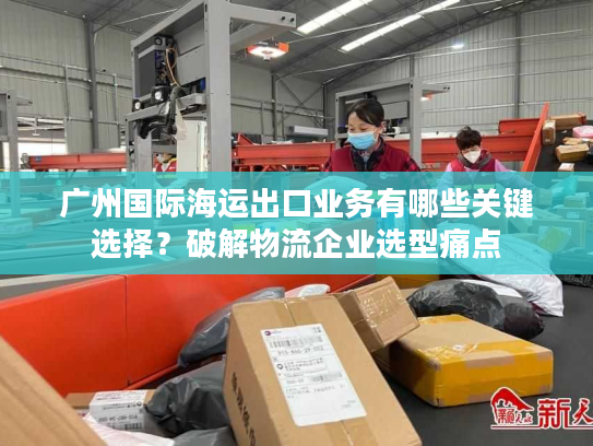 广州国际海运出口业务有哪些关键选择？破解物流企业选型痛点