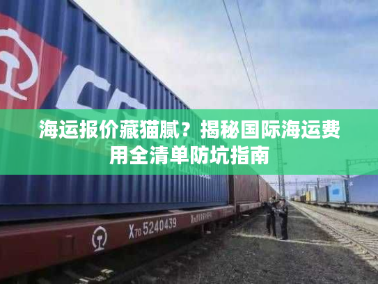 海运报价藏猫腻?揭秘国际海运费用全清单防坑指南 海运报价藏猫腻?揭秘国际海运费用全清单防坑指南